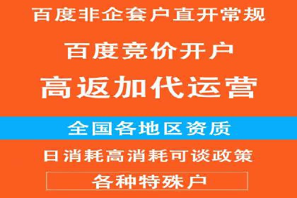 某行业SEM主管的优化策略与成果展示
